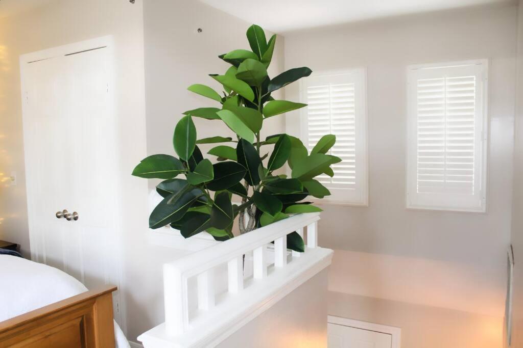 Cozy French Style Villa- 3 Bed-Casino-Pools-Jacuzzi Norwich Eksteriør billede